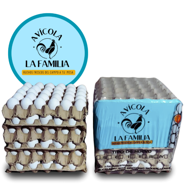 CAJA HUEVO PRIMERA BLANCO 180 UNIDADES