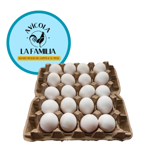 huevo-super-blanco-20 ud BANDEJA HUEVO SÚPER BLANCO 20 UNIDADES